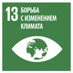 Climate action - Goal 13